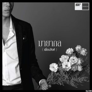 Cover Album