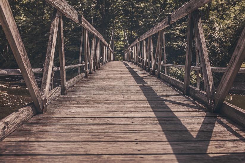 สะพานสายชีวิต: The Bridge