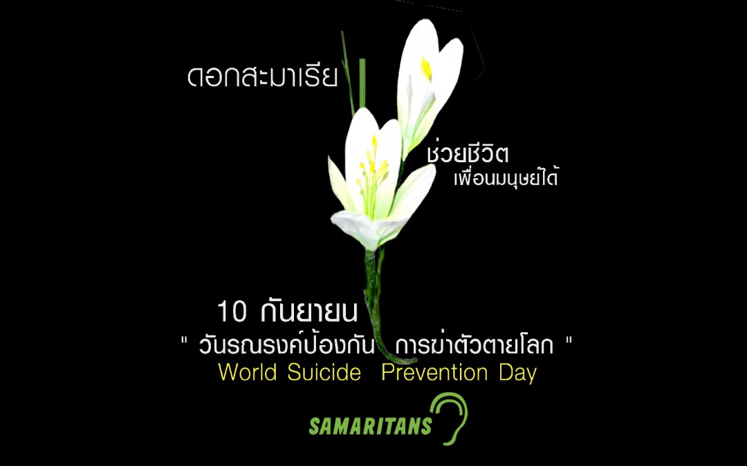 10 กันยา เชิญชวนร่วมซื้อดอกสะมาเรีย ช่วยชีวิตเพื่อนมนุษย์